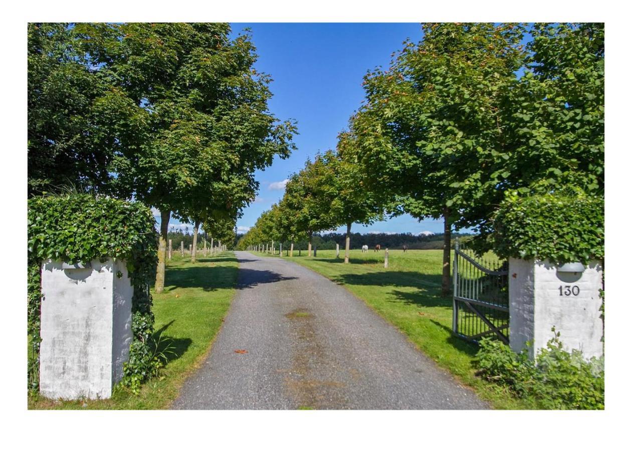 Holmsminde Bed & Breakfast Viborg Bagian luar foto